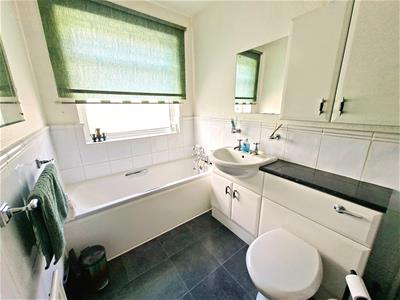 Picture 14